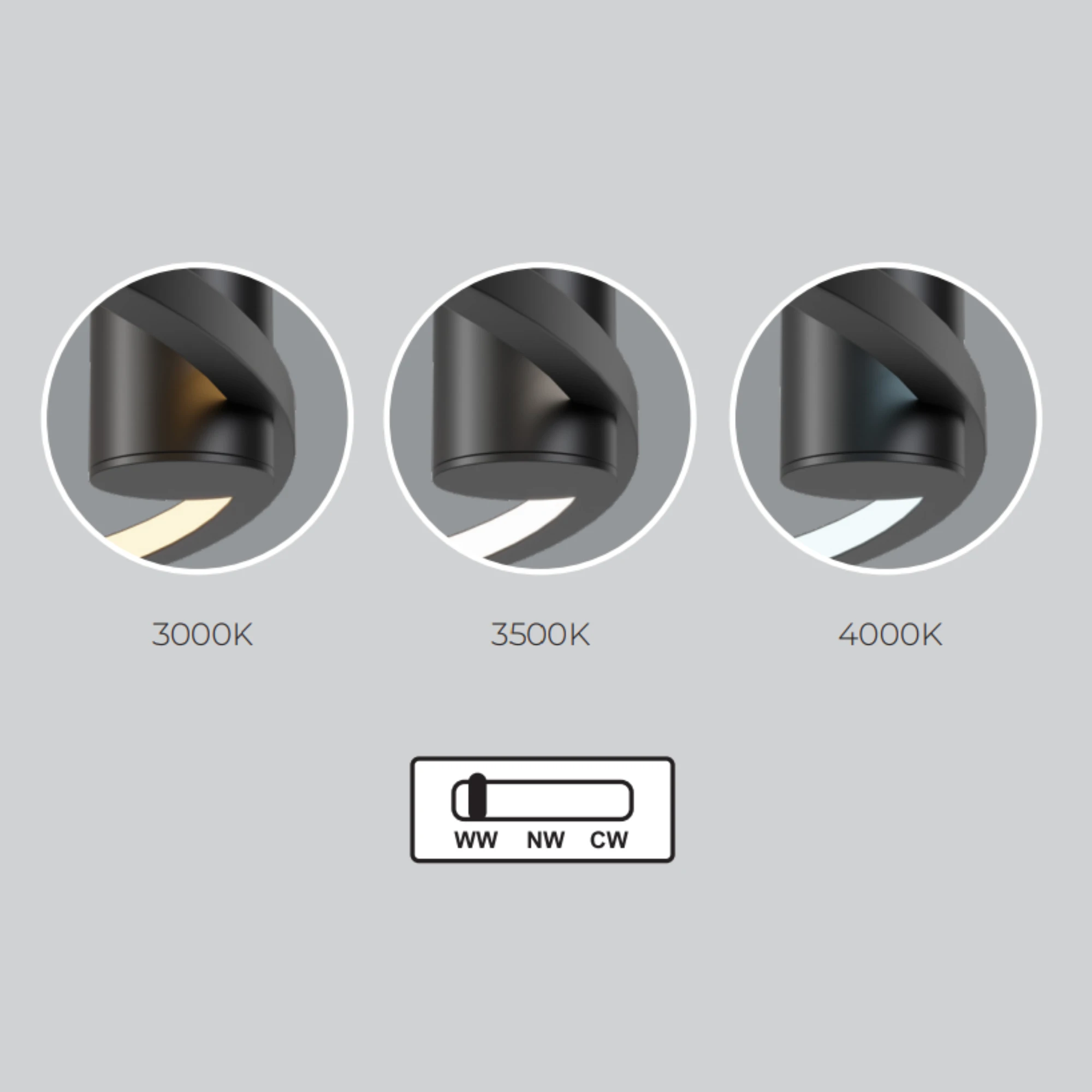 zmienna-barwa-swiatla-ringa